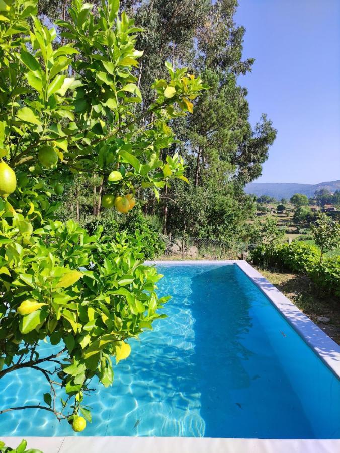 Casa Da Mata Villa Паредес де Коура Екстериор снимка